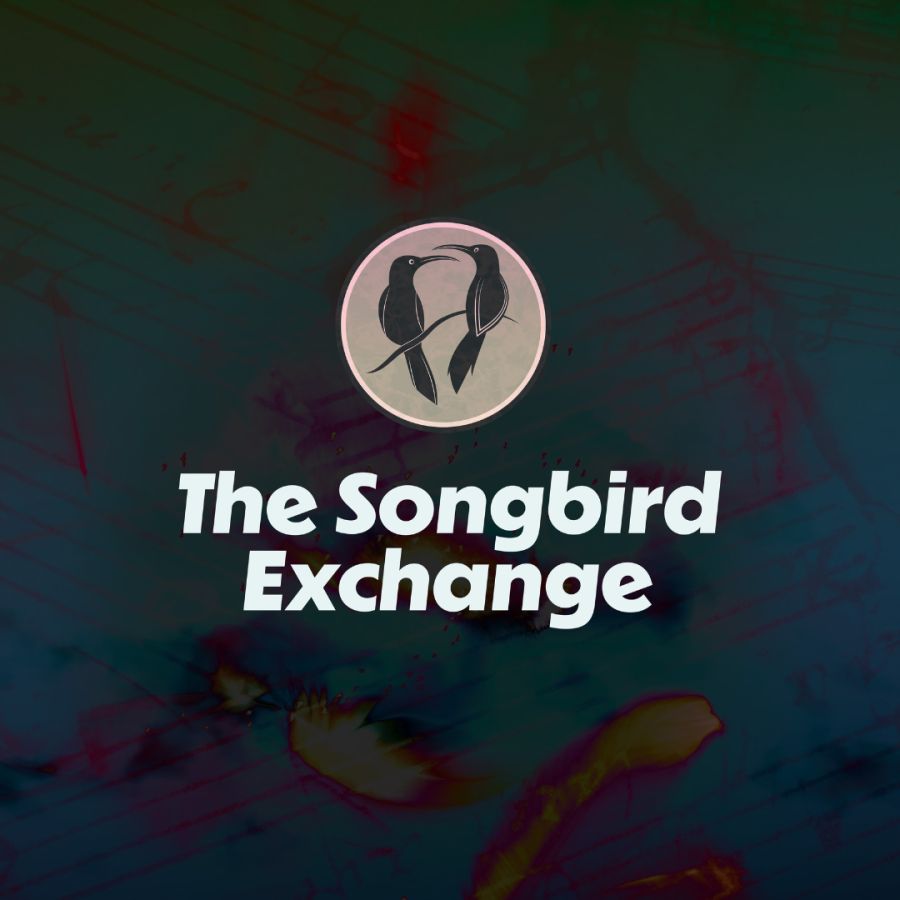 Songbird square